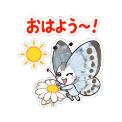 Lampides boeticu - Daily Chat Stickers