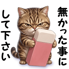 A tabby cat with a strong personality