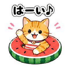 A Tabby Cat's Summer Vacation.