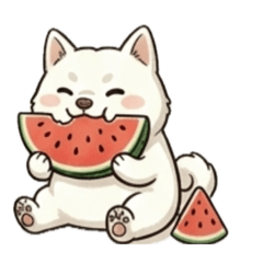 Bashi_10