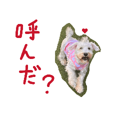 Yuto_20260628024630