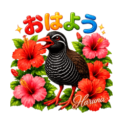 Kazumi_20260628035123