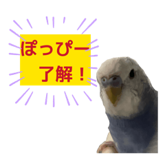 Yuto_20260628054753
