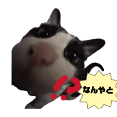 Rin_20260628042709