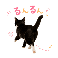 kyahoo_20260628044525
