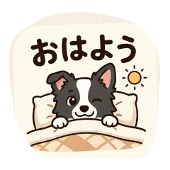 Yoshinori_20260628072606