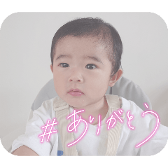 t7m800_20260628073111