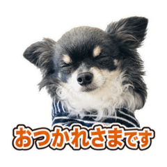 HANA_20260628075135