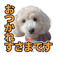 KOTETSU_20260628080157