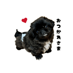 BAM_20260628081045