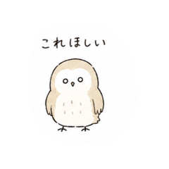 mikko_20260628113128