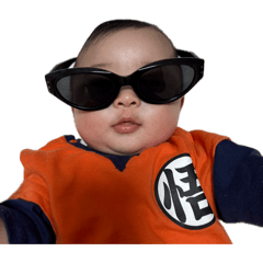 toto_20260628113229