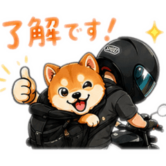 mugi_20260628112601