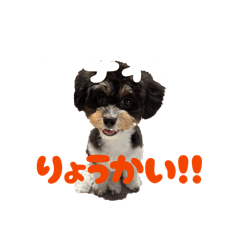 okada_20260628113454