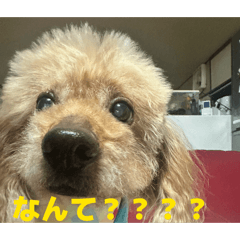 kousei_20260628113655