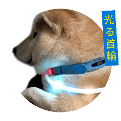 kotetsu_20260628120020