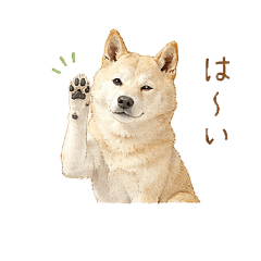 meimei_20260628122042