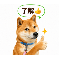 Megu_20260628125038
