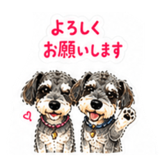 Fujimama_20260628130352