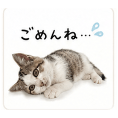 MASA_20260628135335