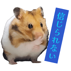 ごるはむハムスター