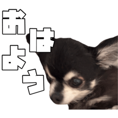 R_20260628143215