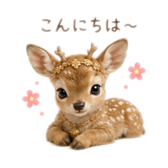 SHIHO_20260628160305