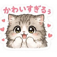 Mayu_20260628165512