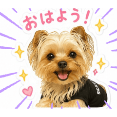 maya_20260628172343