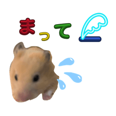 1_20260628174521