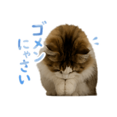 takku1