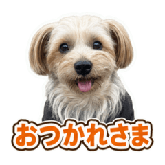 Takaoka_20260628180356