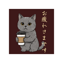 yumi_20260628174923