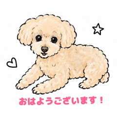 Ree_20260628180533