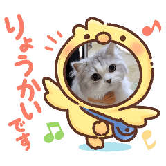 ryou_20260628181806