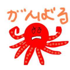 tako_20260628185314