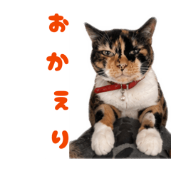 ikura_20260628190602