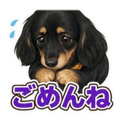 raito_20260628194927