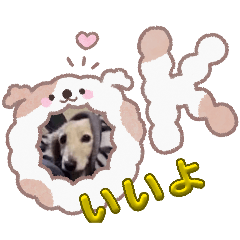 mika.I_20260628195857