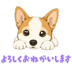 saito_20260628200534