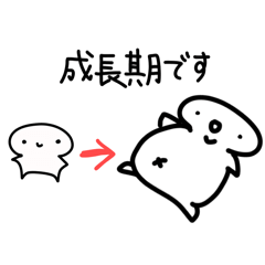 Hokko_20260628202234