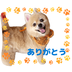 yuko_20260628203216