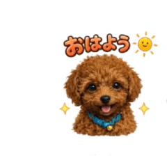 mo_20260628205459
