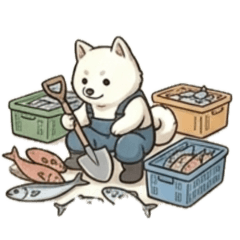 Bashi_14