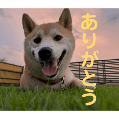 ryo_20260628231004