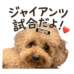leo_20260629001749