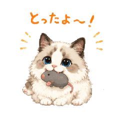 ponsuke_20260629003217