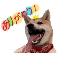 Suzunooto_20260629023858