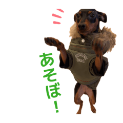 SSS_20260629072547