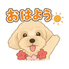 sasa_20260629085424